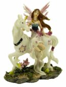 Fairy Gothic On Unicorn