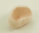 Stone Dragons Egg Rose Quartz