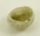 Stone Dragons Egg Smoky Quartz