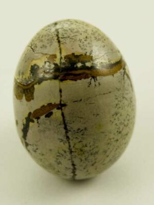 Stone Egg Large Assorted