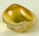 Tumble Stone Golden 20-30mm 5pcs