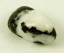 Tumble Stone Zebra Jasper 5pcs