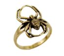 Ring Bronze Spider