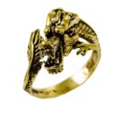 Ring Bronze Dragon Body