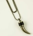Necklace With Horn
