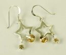 Silver Earring Star Amber L3cm