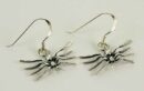 Earring Spider W20mm