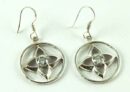 Earring Clear Cut Flower In Circle