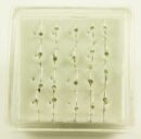 Nose Ring Clear Stones 20pcs