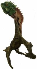 Iguana Painted Wooden Standing 20 Inch